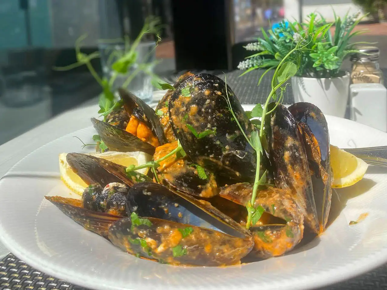bella bia restaurant cabo roig gallery food 2025 6